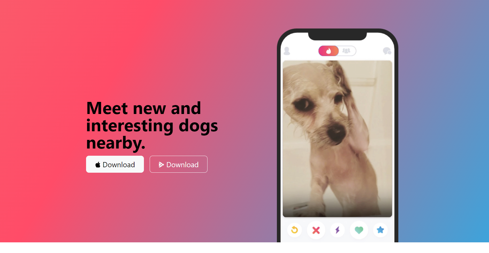 tinder of dogs